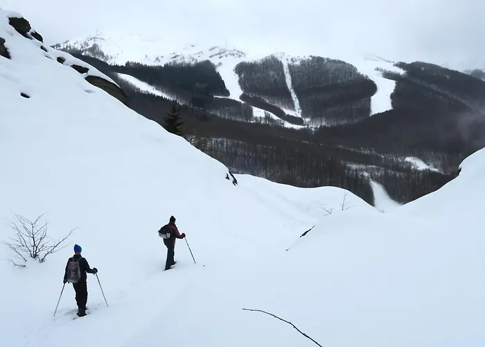 Aera - Glass 4* Tromsø